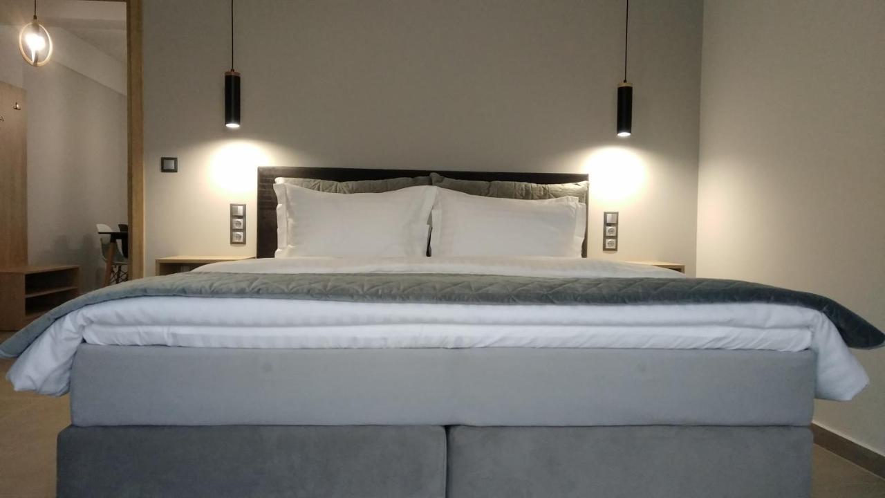 Appartement Psammites à Kalambaka Extérieur photo